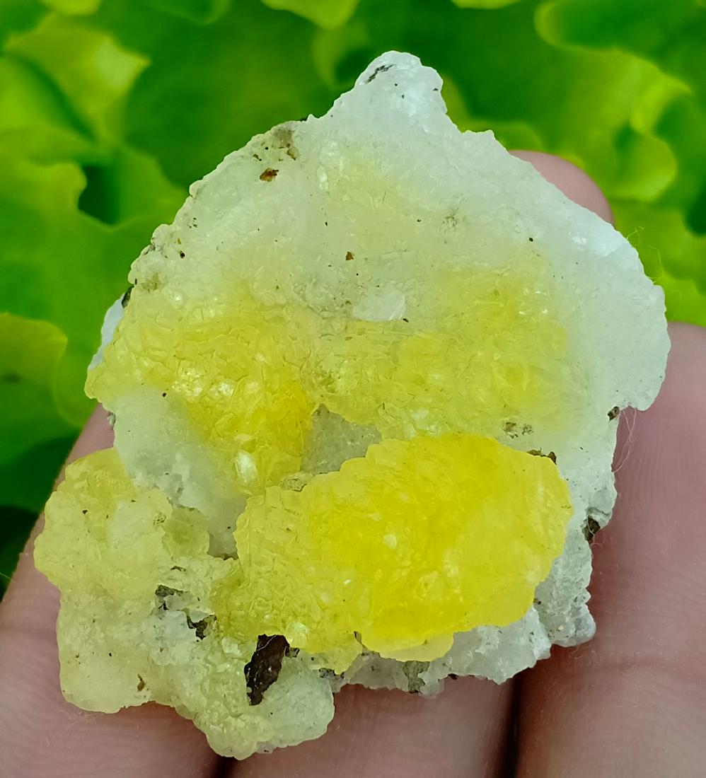 16 Gram Beautiful Natural Brucite Specimen (1 of 3)