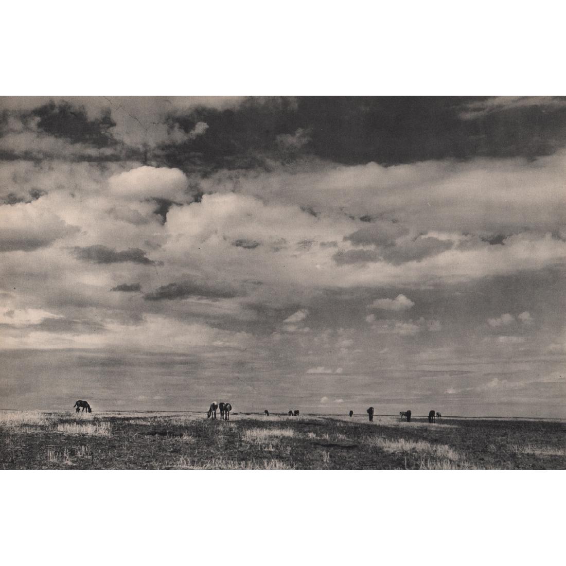 MARGARET BOURKE-WHITE - The Steppe-Ukraine: Artist: MARGARET BOURKE-WHITE Print Title: The Steppe-Ukraine Medium: Sheet-fed Gravure Printing Date: 1930's Printed in the USA Image Size approx: 13 x 8.5 inches Margaret Bourke-White (1904-1971) wa