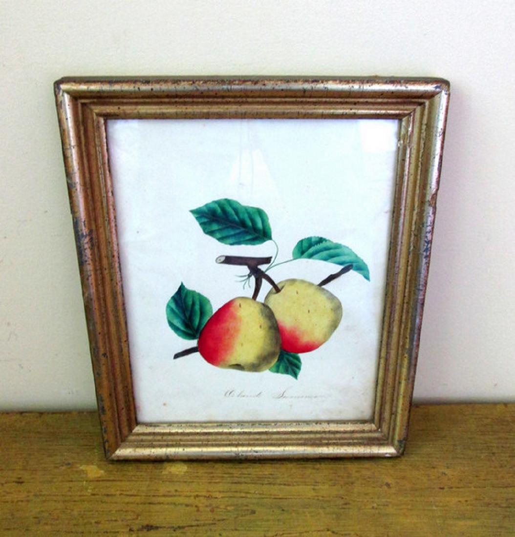 Early Pears Theorem Painting (1 of 7)