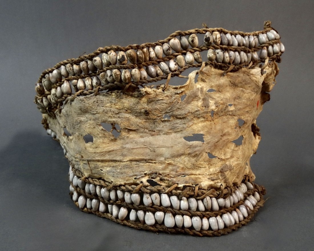 Old Fore head decoration Central Asmat: Reserve Reduced! Old Fore head decoration Central Asmat Origin: West Papua Date: Mid 20th century Materials: Animal skin, bush fiber and seeds Size: 39 cm Old Fore head decoration Central Asmat 1950's