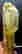 item-67719971=3