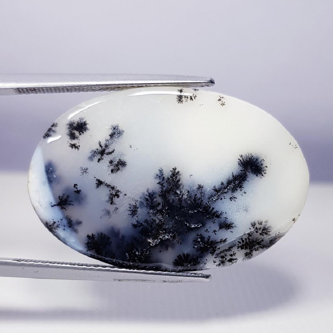 28.42 ct Natural Dendrite Opal (1 of 4)