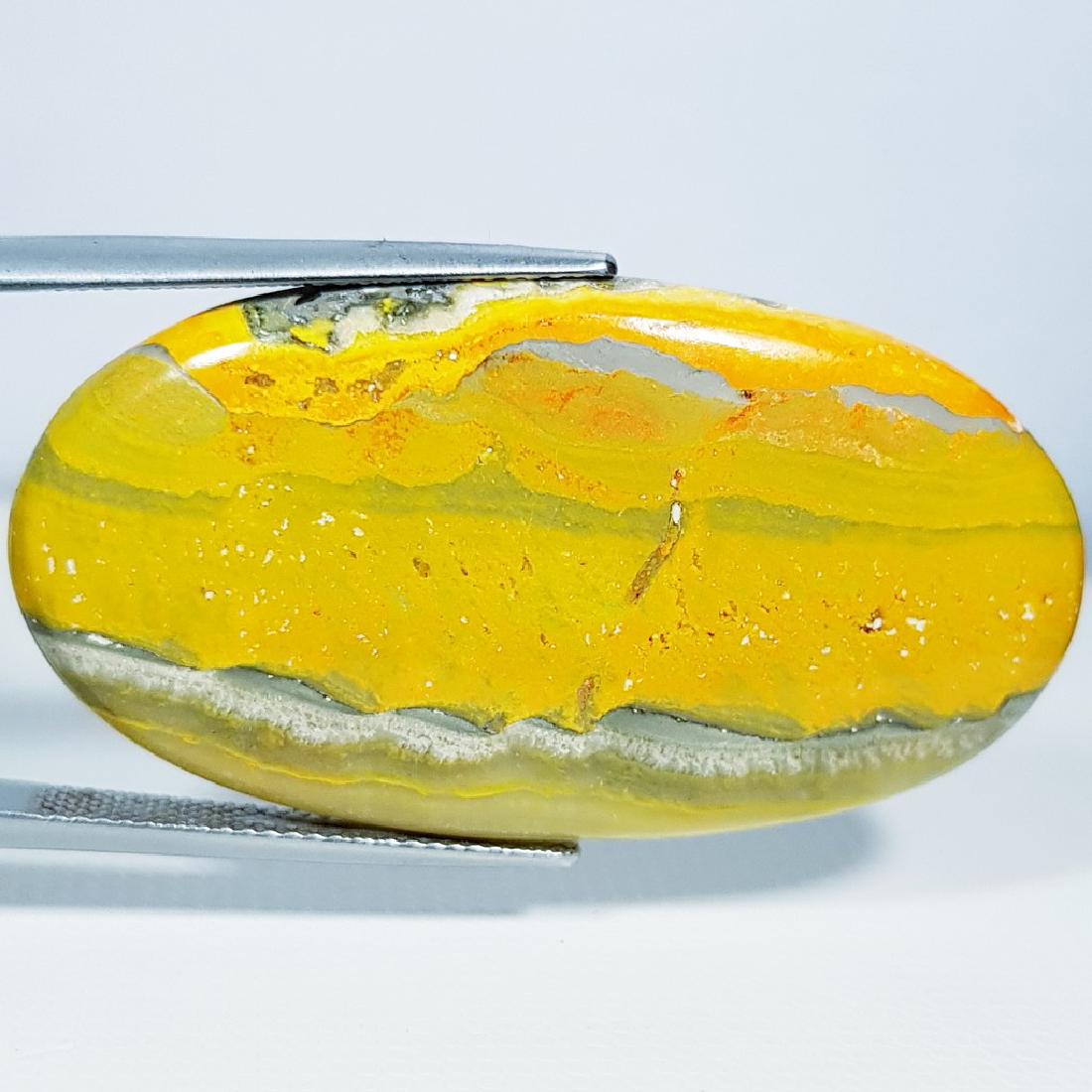 46.13 ct Natural Bumble Bee Jasper (1 of 4)