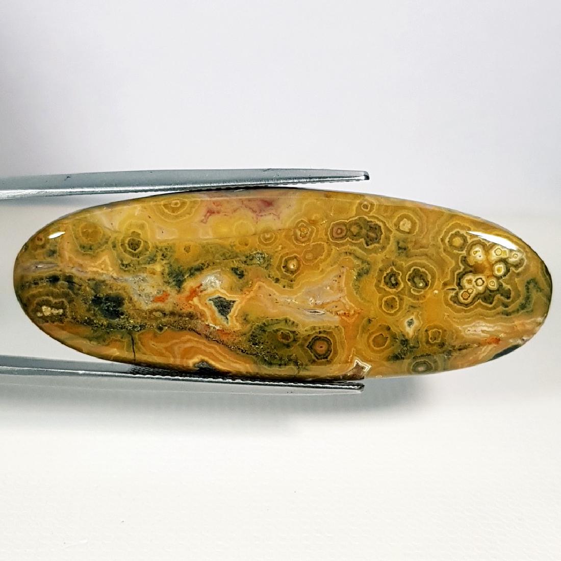 37.86 ct Natural Ocean Jasper (1 of 4)