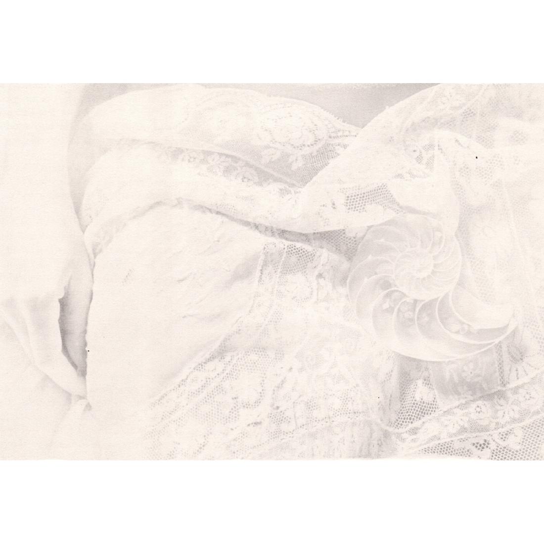 JOYCE TENNESON - Partitioned Shell, 1979: Artist: JOYCE TENNESON Print Title: Partitioned Shell, 1979 Medium: Photo-engraving Printing Date: 1980's Printed in the USA Image size approx. 7 x 4.5 inches Joyce Tenneson is an American fine art ph