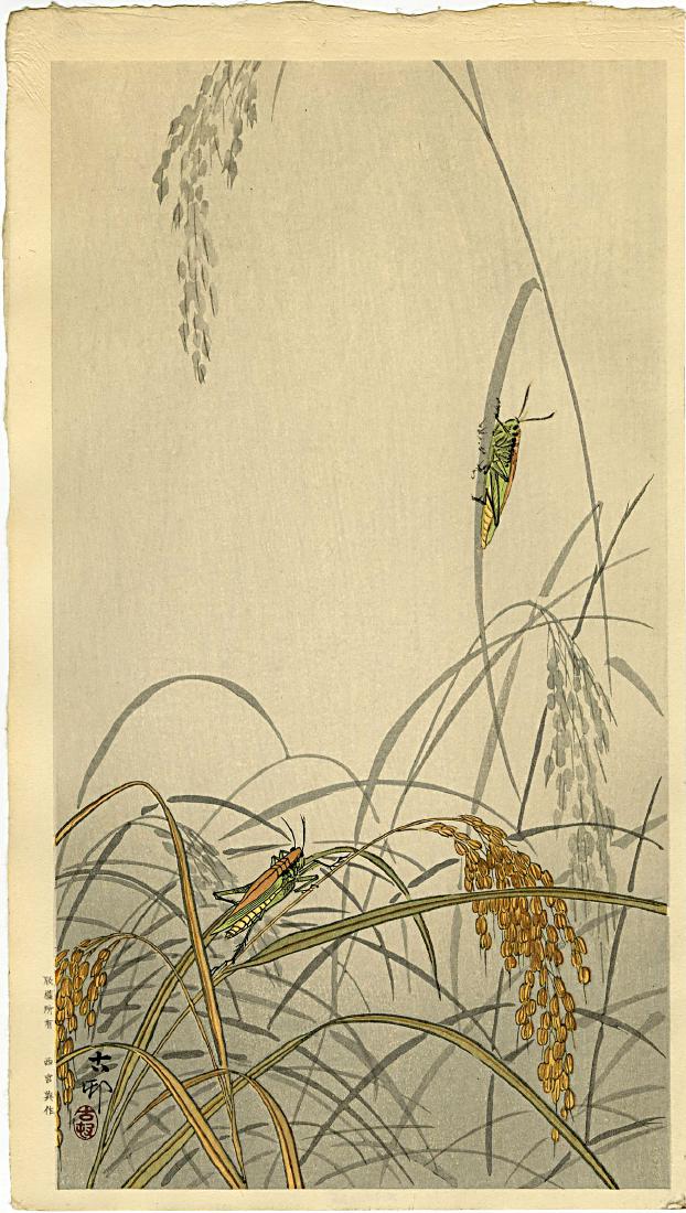 Koson Ohara: Grasshoppers on Rice c.1930 Woodblock: Japanese Woodblock Print, c.1930s, published by Hasegawa/Nishinomiya SIZE IN INCHES: ohosoban, 8.25 x 14.5 inches, PROVENACE: from the estate of Robert O. Muller OHARA KOSON (1877-1945), who also went