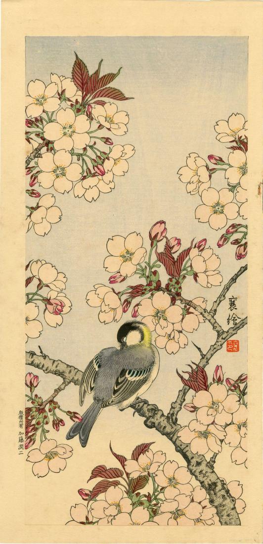 Jo (Hashimoto Yuzuru): Finch on a Cherry 1930 Woodblock: Japanese Woodblock Print, c.1930, published by the Shima Art Company, signed and sealed Keinen SIZE IN INCHES: 7.75 x 15.75 PROVENANCE: from the estate of Robert O. Muller Jo (active 1920 – 1930) wa