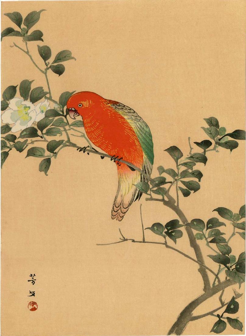 Hobun Kikuchi: Red Parrot Woodblock: Japanese Woodblock Print, 1920s, published by the Shima Art Company SIZE IN INCHES: chuban, 7.5 x 10.25 inches PROVENANCE: from the Robert O. Muller estate Shipping: Domestic: Flat-rate of $25.00 to a