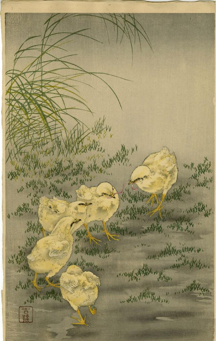 Koson Ohara: Chicks and Worm 1920s Woodblock: Japanese Woodblock Print, 1920s, published by Hasegawa/Nishinomiya SIZE IN INCHES: oban, 10.75 x 17.5 inches PROVENANCE: From the Robert O. Muller estate Shipping: Domestic: Flat-rate of $25.00 to any