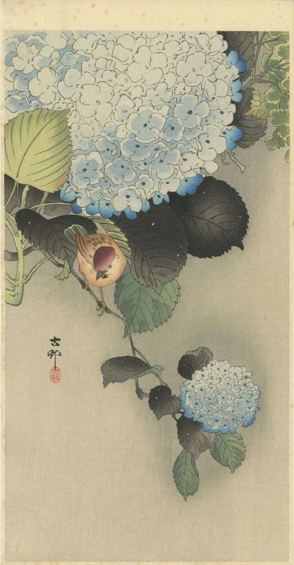 Koson Ohara: Sparrow on Hydrangea Woodblock: Japanese Woodblock Print, 1910-20's, Daikoku-ya Publisher SIZE IN INCHES: hosoban, 7.5 x 14.5 PROVENANCE: From the estate of Robert O. Muller Shipping: Domestic: Flat-rate of $25.00 to anywhere within