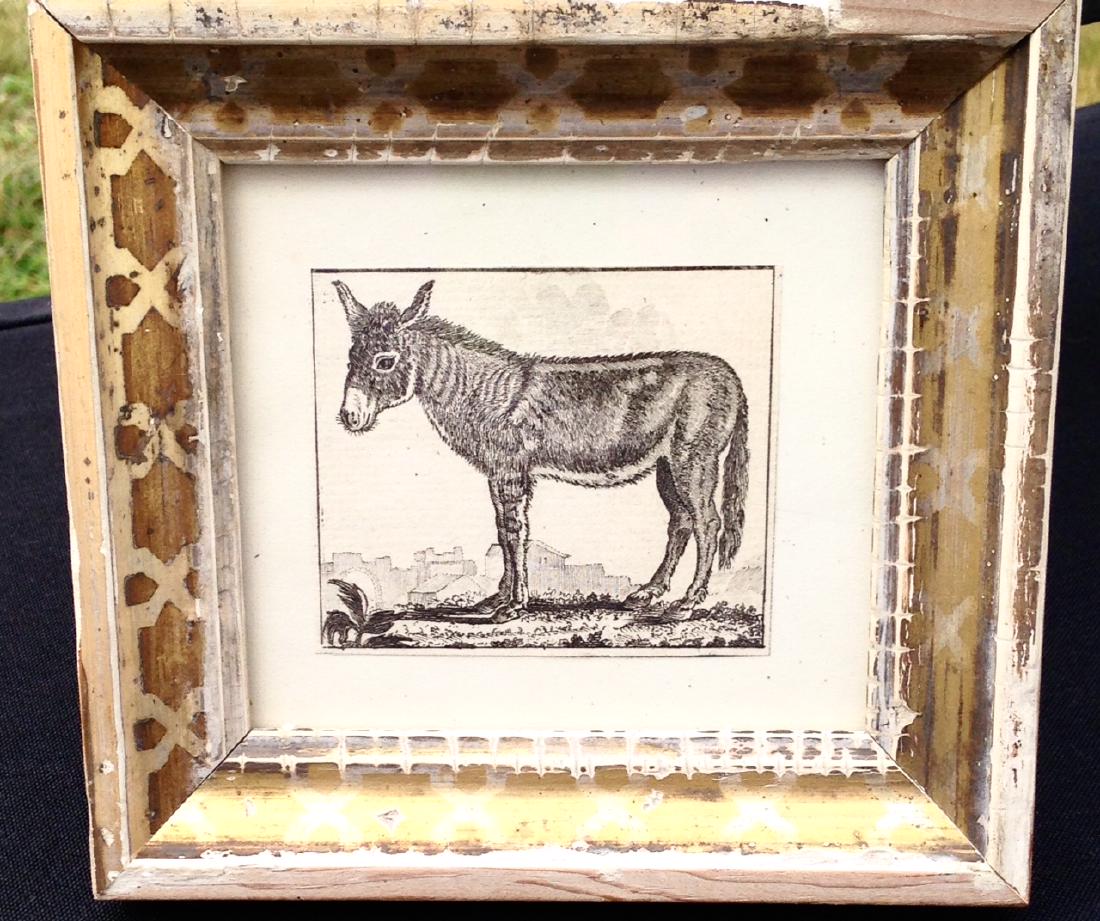 C 1800 copperplate engraving in a 19thc worn gold leaf (1 of 2)