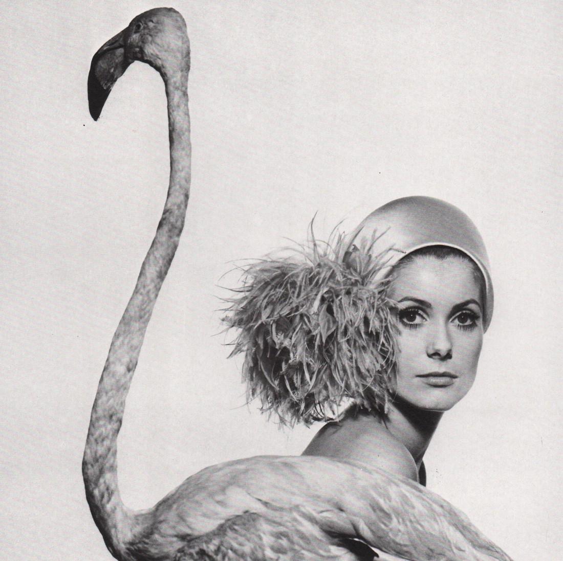 DAVID BAILEY - Catherine Deneuve: Artist: DAVID BAILEY Print Title: Catherine Deneuve Printing Date: 1980’s Medium: photo-engraving Printed in: the USA Image Size: 7 x 7” Reserve: $25.00 Shipping: Domestic: Flat-rate of $15.00 to