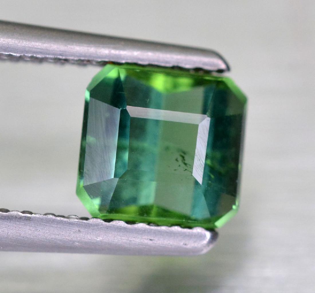 1.00 Carat Gorgeous Emerald Green Tourmaline Gemstone ~ (1 of 3)