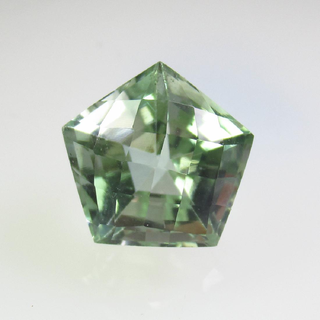 8.17 Ct Genuine Brazil Green Amethyst Hexagon Cut (1 of 2)