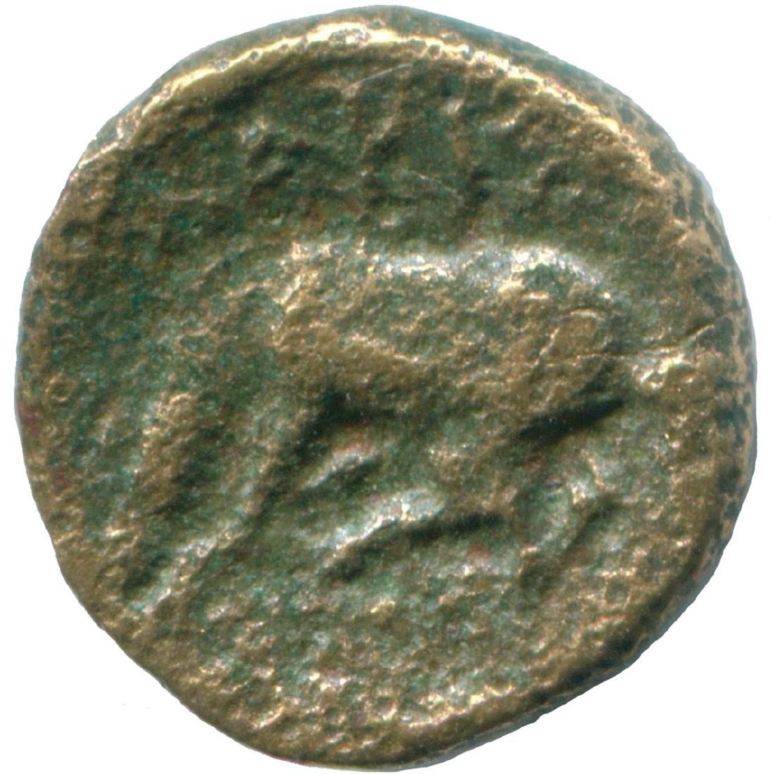 HORSE Ancient Authentic GREEK Coin (1 of 3)