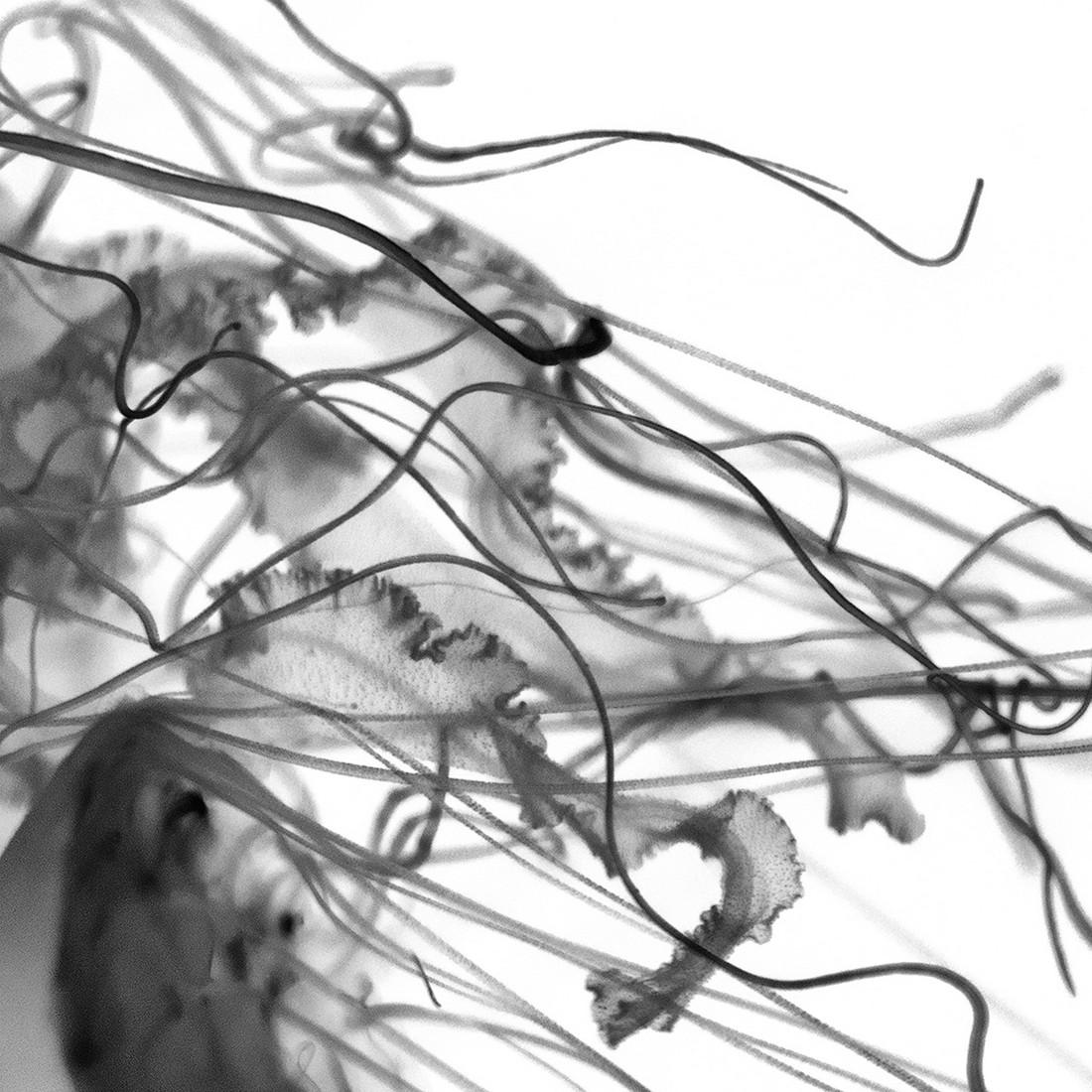 3 Fine Art Prints-INV3ARTH. Toxic Part I, 2014 Ed.2/25 (1 of 7)