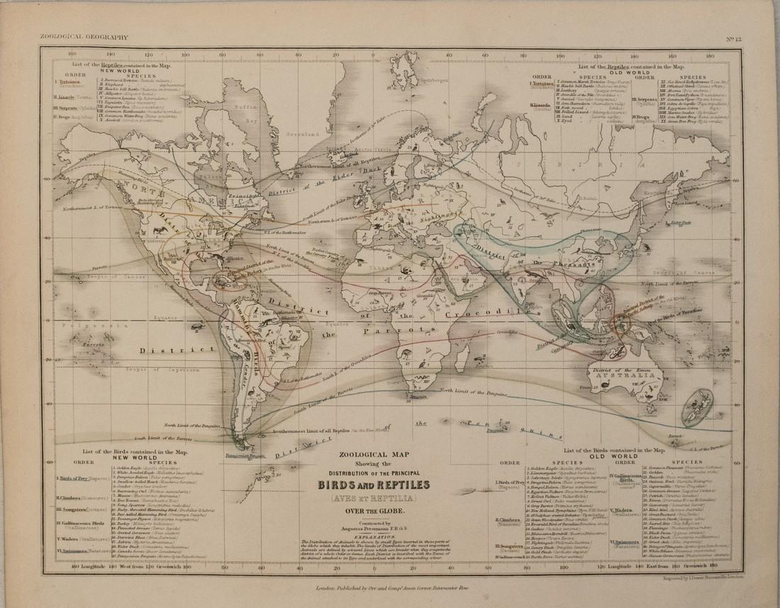 1850 Petermann Map of the Distribution of Birds and (1 of 1)