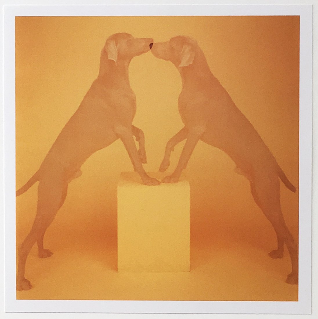 William Wegman Touching 1991: Artist: William Wegman Title: Touching 1991 Medium: Color photograph Dimensions: 6" x6" Description: Signed verso and label with description Reserve: $250.00 Shipping: Domestic: Flat-rate of $10.00 to
