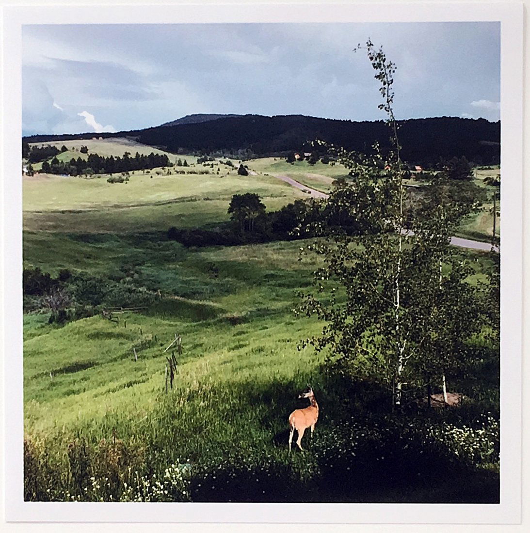 Stephen Shore Bridger Canyon Bozeman MT 2018 (1 of 2)