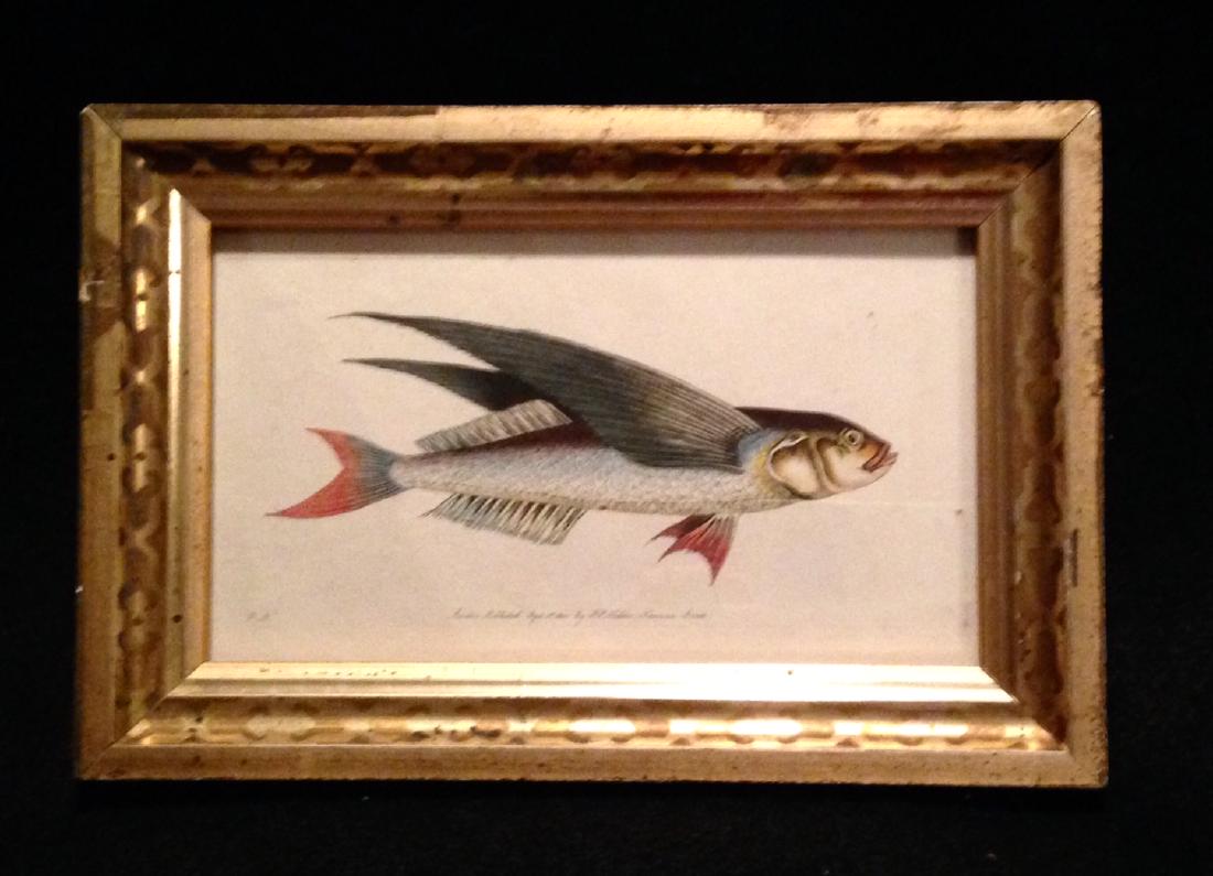 Dated 1800 hand colored copperplate engraving (1 of 2)