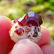 34 Carat Top Quality Transparent Red Garnet Specimen