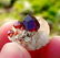 34 Carat Top Quality Transparent Red Garnet Specimen - 2