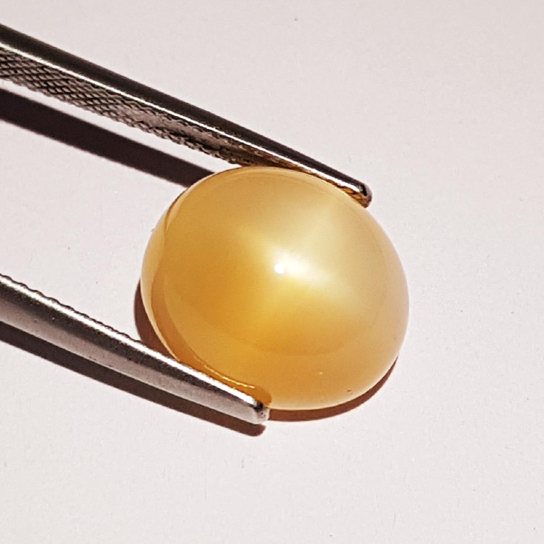 8.73 ct Natural Orange Moonstone: No Reserve! Item: 8.73 ct Natural Orange Moonstone Color/Clarity: VVS Loosegemstone Carat Weights: 8.73 Size/Dimensions: 13.60 x 12.00 x 7.60 Oval - India Shipping: Worldwide: Flat-rate of $10.00 to a