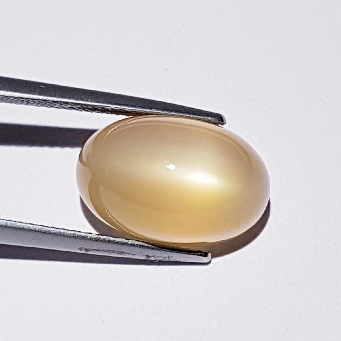 11.91 ct Natural Peach Orange Moonstone: No Reserve! Item: 11.91 ct Natural Peach Orange Moonstone Color/Clarity: VVS Loosegemstone Carat Weights: 11.91 Size/Dimensions: 15.70 x 10.20 x 9.60 Oval - India Shipping: Worldwide: Flat-rate of $10