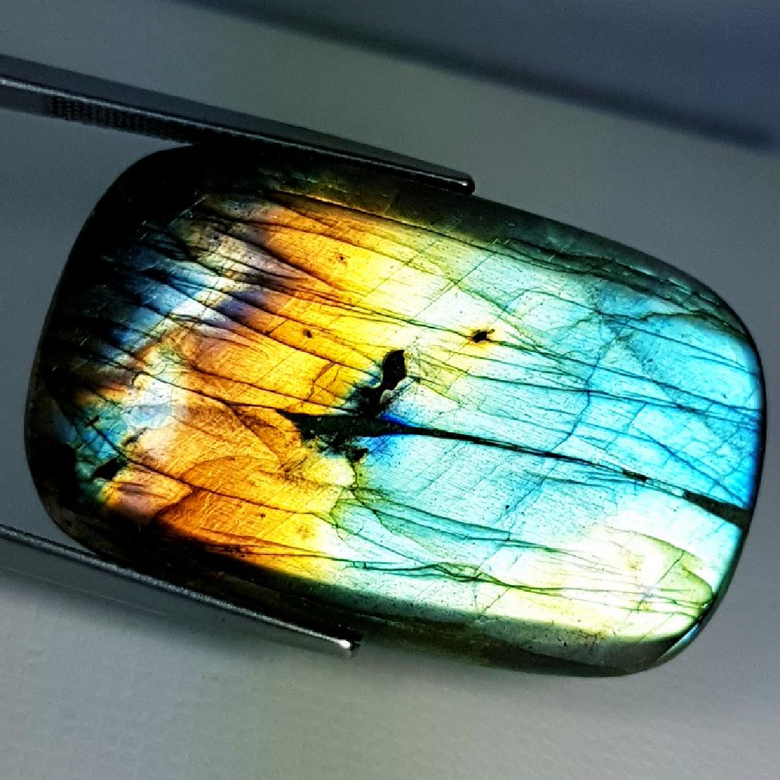 31.44 ct Natural Labradorite: No Reserve! Item: 31.44 ct Natural Labradorite Color/Clarity: Opaque Gemstones Carat Weights: 31.44 Size/Dimensions: 31.78 x 20.13 x 5.52 Oval - USA Shipping: Worldwide: Flat-rate of $10.00 to anywher
