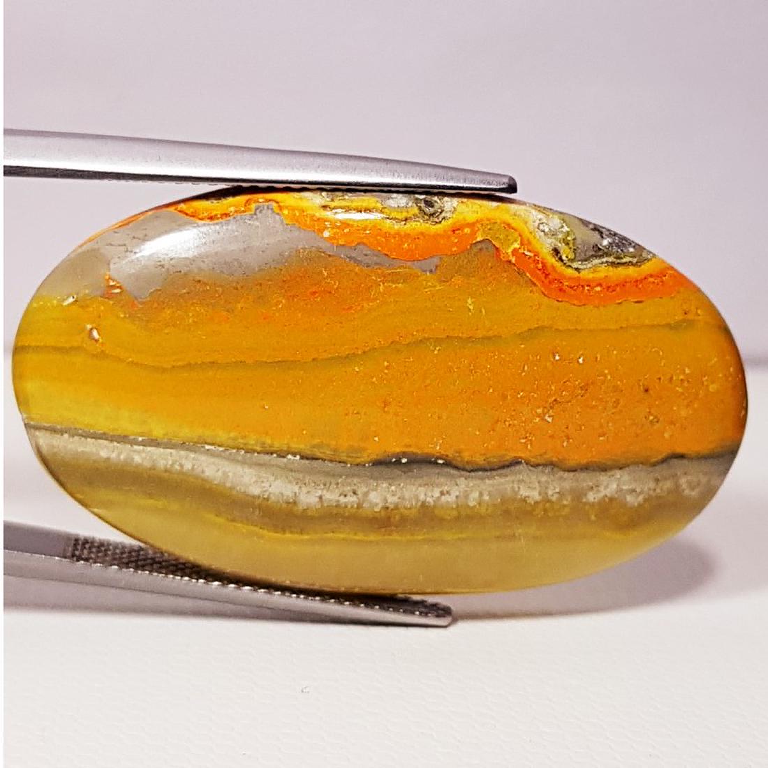 44.30 ct Natural Bumble Bee Jasper (1 of 4)