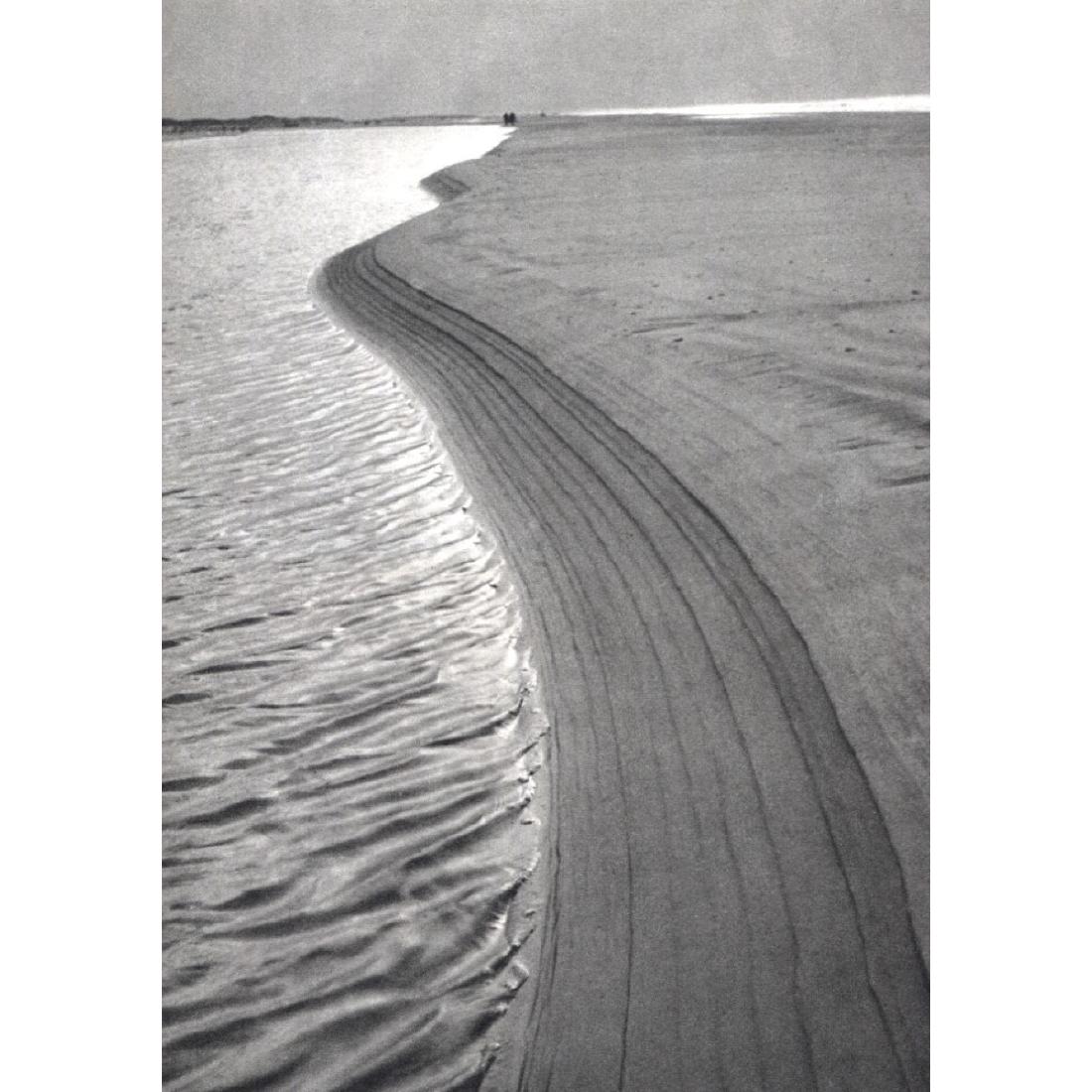 FRITZ KUHN - Shoreline (1 of 1)