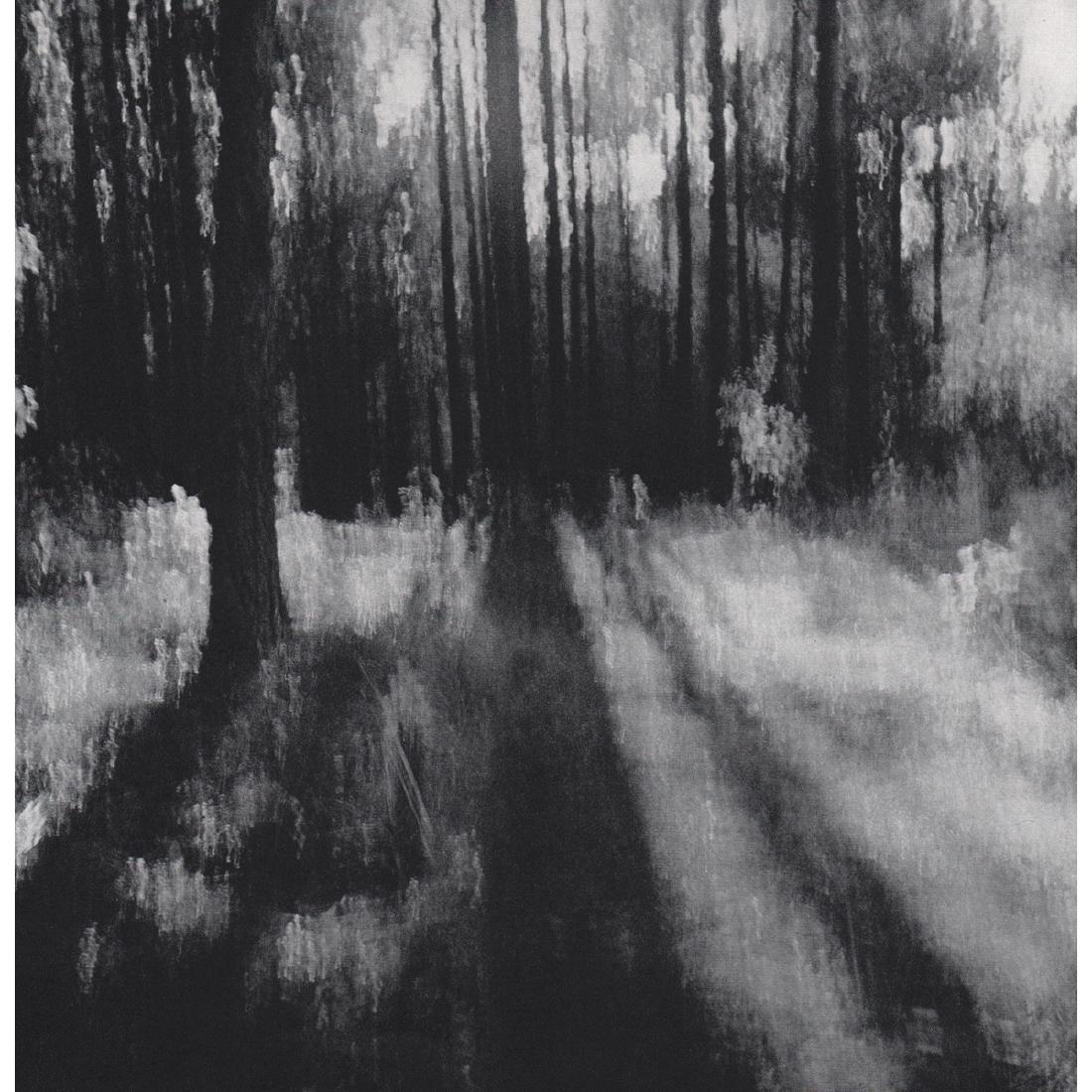 EGONS SPURIS - Trees Shadows: Artist: EGONS SPURIS Print Title: Trees Shadows Medium: Sheet-fed Gravure Printing Date: 1970's Printed in Switzerland Image Size approx:7.5 x 7.5 inches Egons Spuris (1931-1990) was a Latvian fine ar
