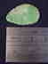 Antique Jadeite pendant - 2