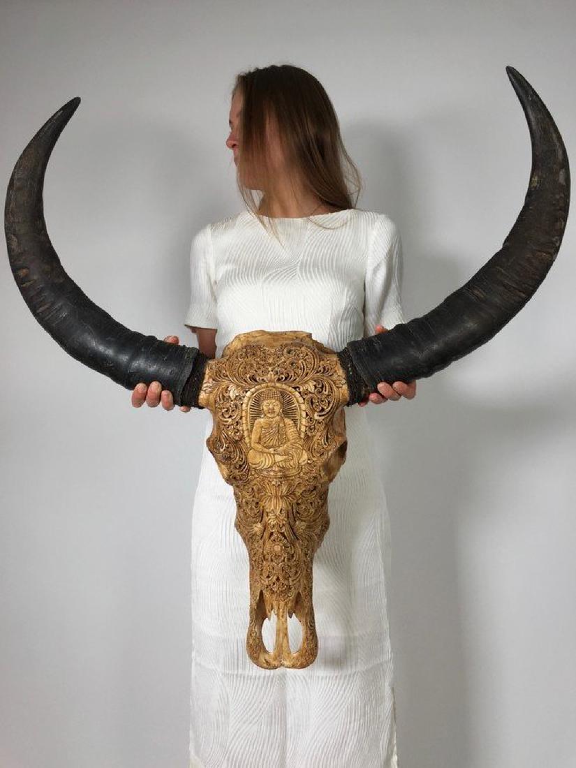 Asian Water Buffalo skull with traditional Balinese: Item: Asian Water Buffalo skull with traditional Balinese carving Maker: Design: Wayan Origin: Indonesia Date/Period: 2016 Materials: Bone Dimensions: Width 87cm / 34.3 inches – Length 90cm / 35.4 i