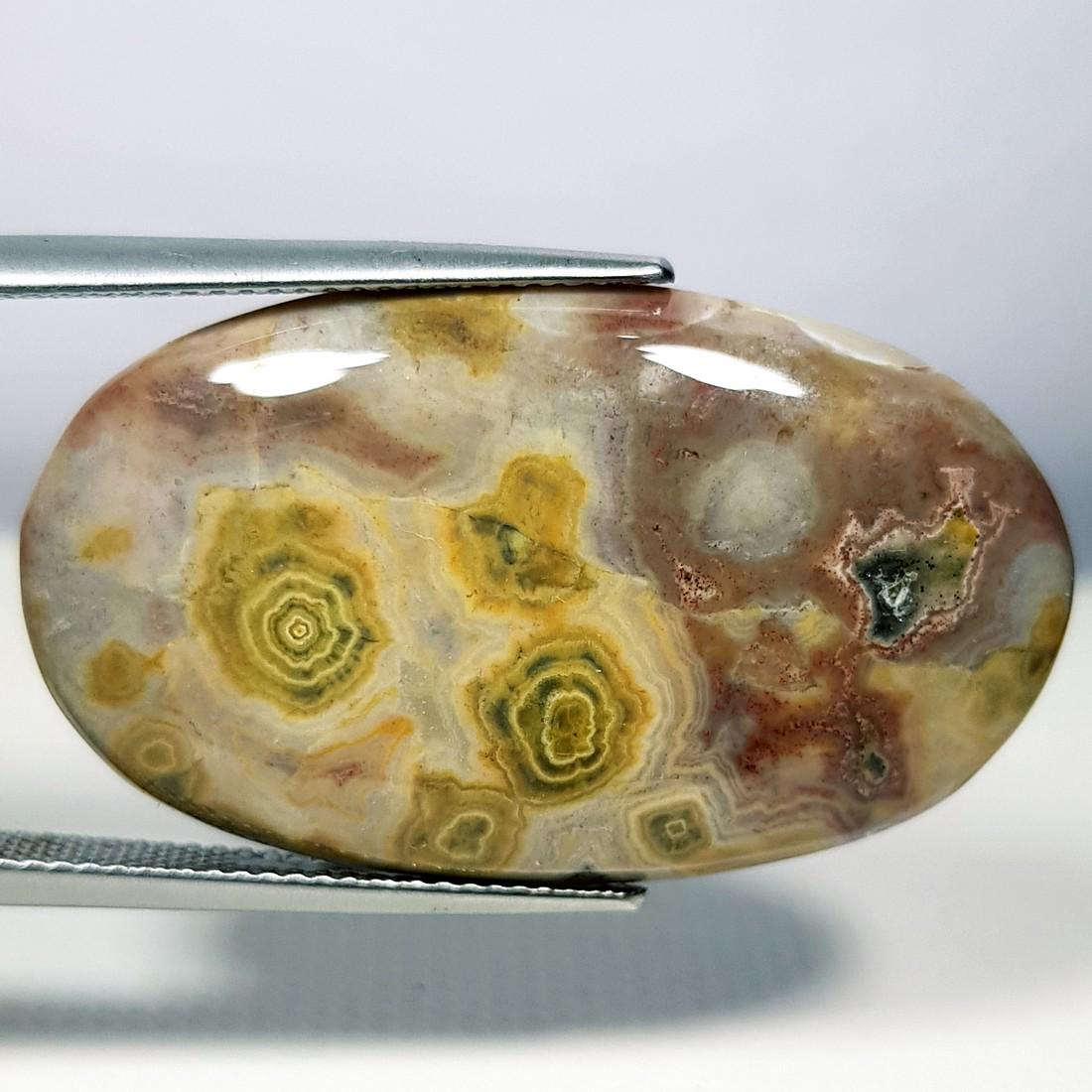 24.71 ct Natural Ocean Jasper Floral (1 of 4)