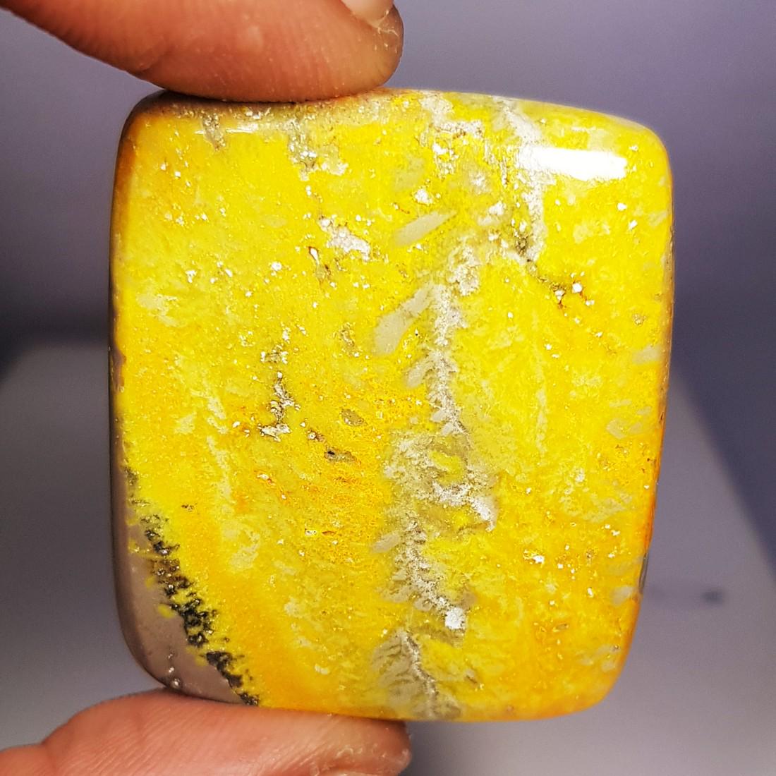 71.28 ct Natural Bumble Bee Jasper (1 of 4)