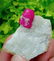 25 Gram A Rare Gorgeous Damage Free Ruby Specimen~ - 3
