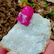 25 Gram A Rare Gorgeous Damage Free Ruby Specimen~ - 4