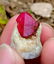 37.65 Carat A Rare Gorgeous Damage Free Ruby Specimen~ - 2