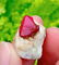 37.65 Carat A Rare Gorgeous Damage Free Ruby Specimen~ - 5