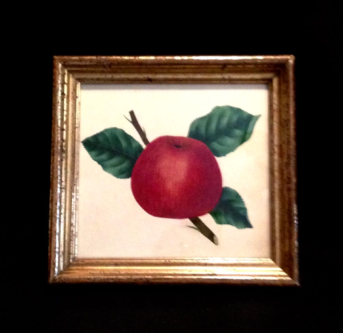 C1850 watercolor/theorem red apple in a 19thc gold leaf (1 of 3)
