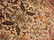 Semi Antique Hand Woven Persian Heriz 9.8x7.7 - 11