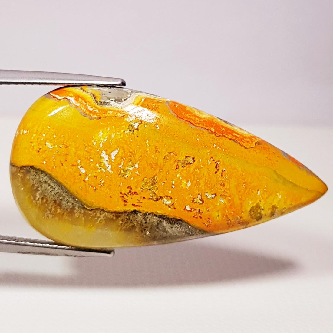 26.54 ct Natural Bumble Bee Jasper (1 of 5)