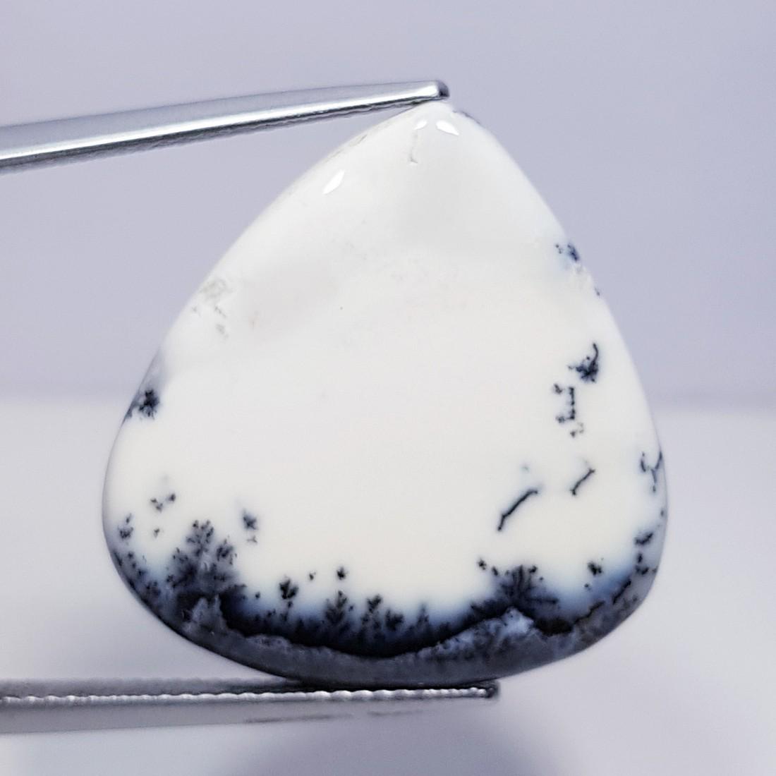 28.18 ct Natural Dendrite Opal (1 of 5)