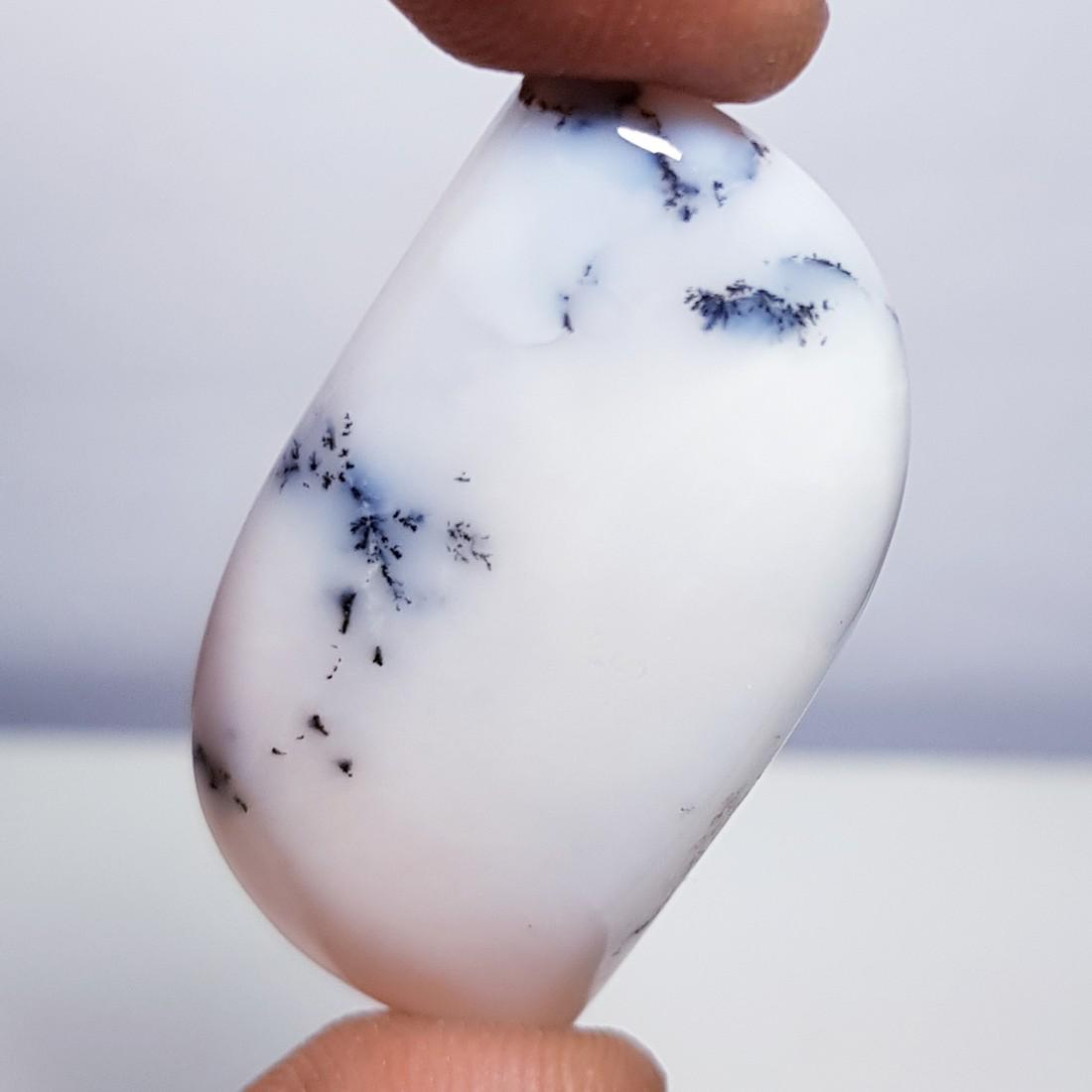 29.09 ct Natural Dendrite Opal (1 of 5)