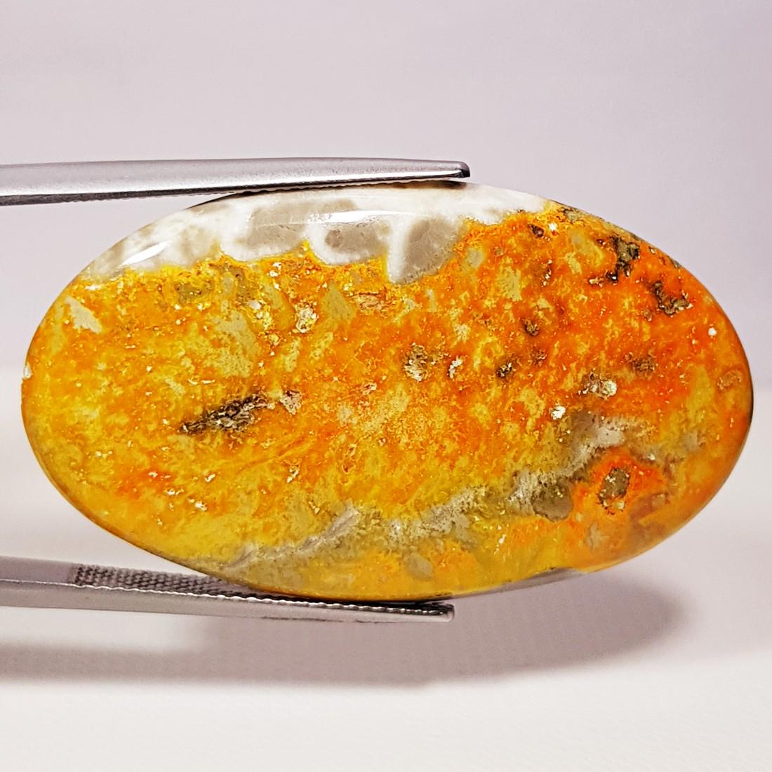 32.30 ct Natural Bumble Bee Jasper (1 of 5)