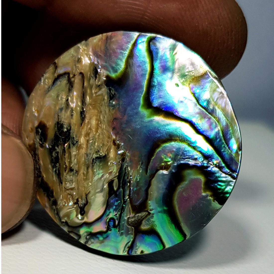 37.10 ct Australian Abalon (1 of 5)