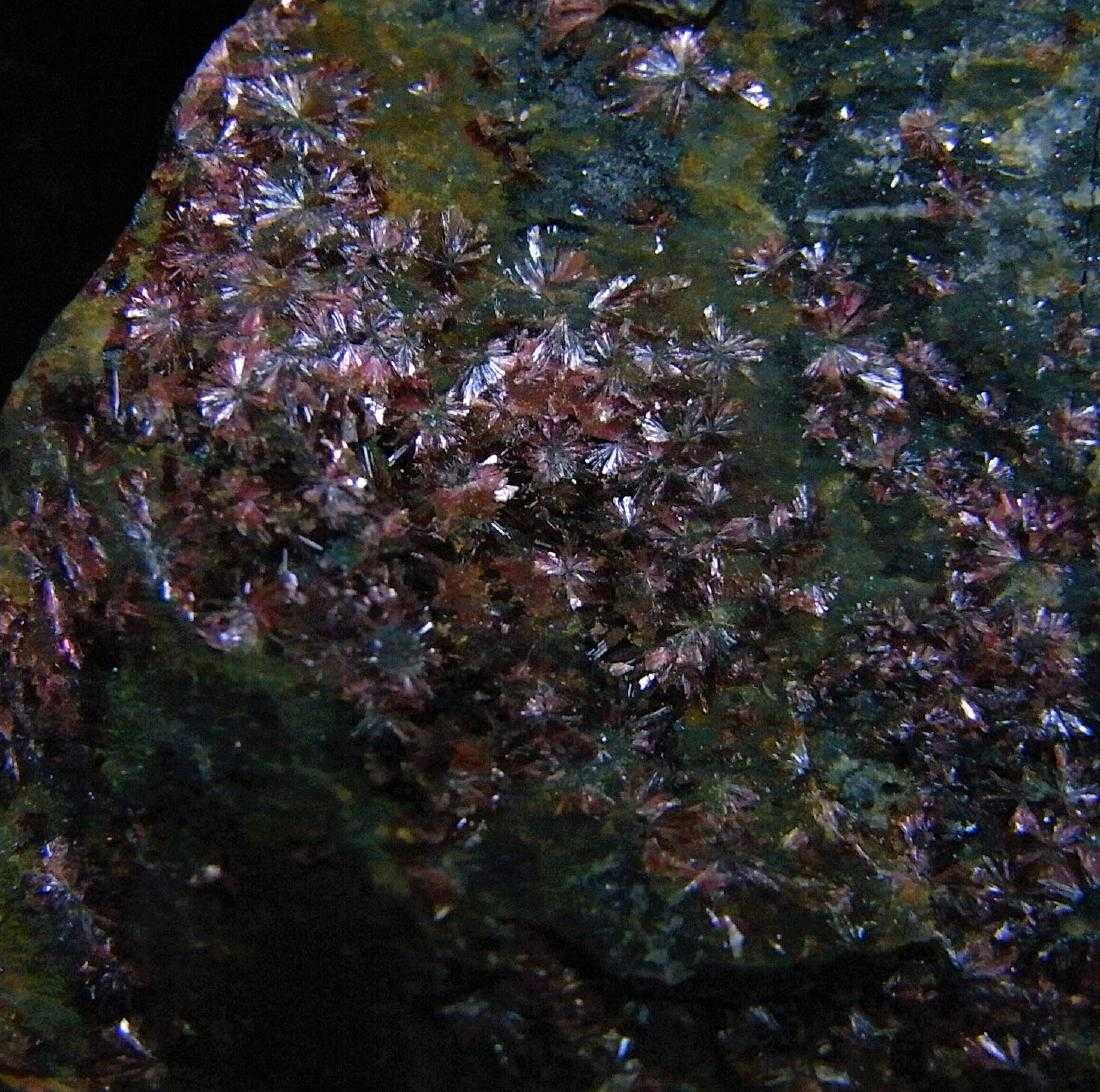 PURPLE ERYTHRITE ROSETTES ON MATRIX - OUTSTANDING!: Title: PURPLE ERYTHRITE ROSETTES ON MATRIX - OUTSTANDING! Origin: Cerro Minado Mine, Almeria, Spain Size: 5x3x2 cm / 50 gram Additional Information: purple erythrite rosettes on matrix. selected and o