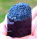 168 Gram Top Quality Double Terminated & Undamaged Blue - 6