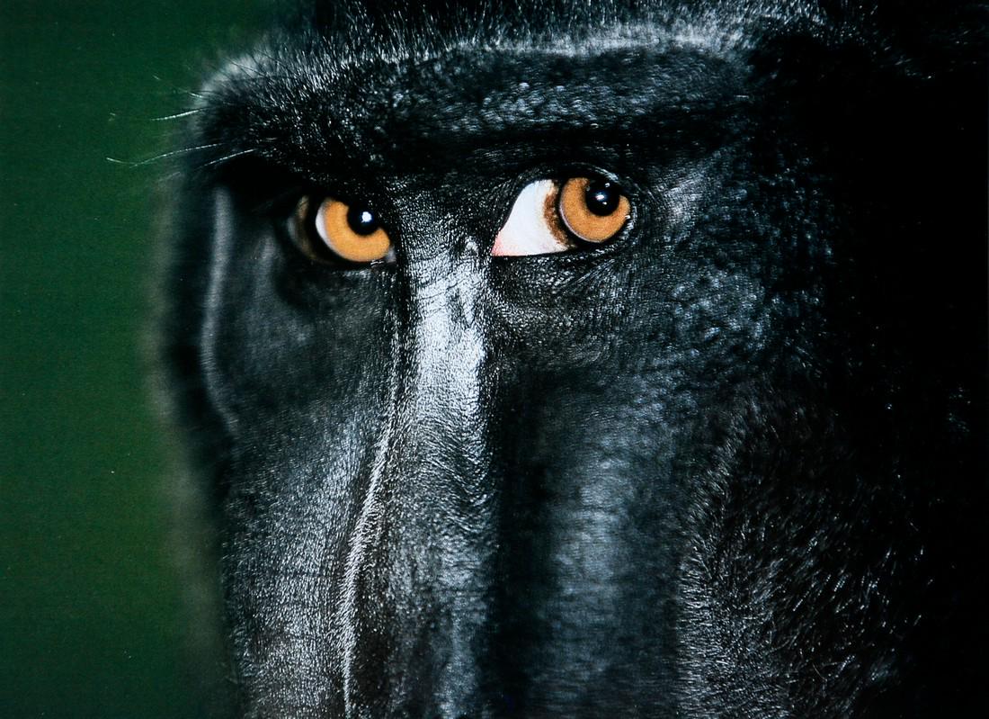 ESKO MANNIKKO - Untile. 2005: Artist: Esko Mannikko Title: Untile. 2005 Date Printed: 2008 Medium: Photo Litho with Copyright Esko Mannikko Printer Location: Italy Size: 20.5x15cm - 8.07 x 7.5 inch Mount Size: 24x17 cm - 9,45 x 6.